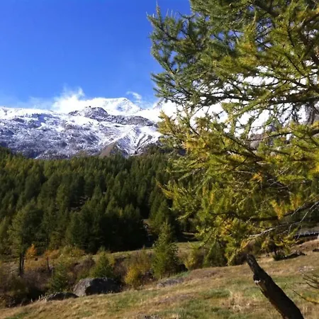 Mikado By Interhome Appartement